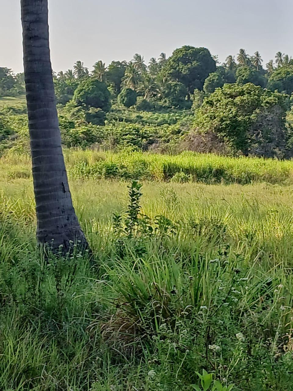 A Prime 70-Acre Plot for Sale at Mkuranga.