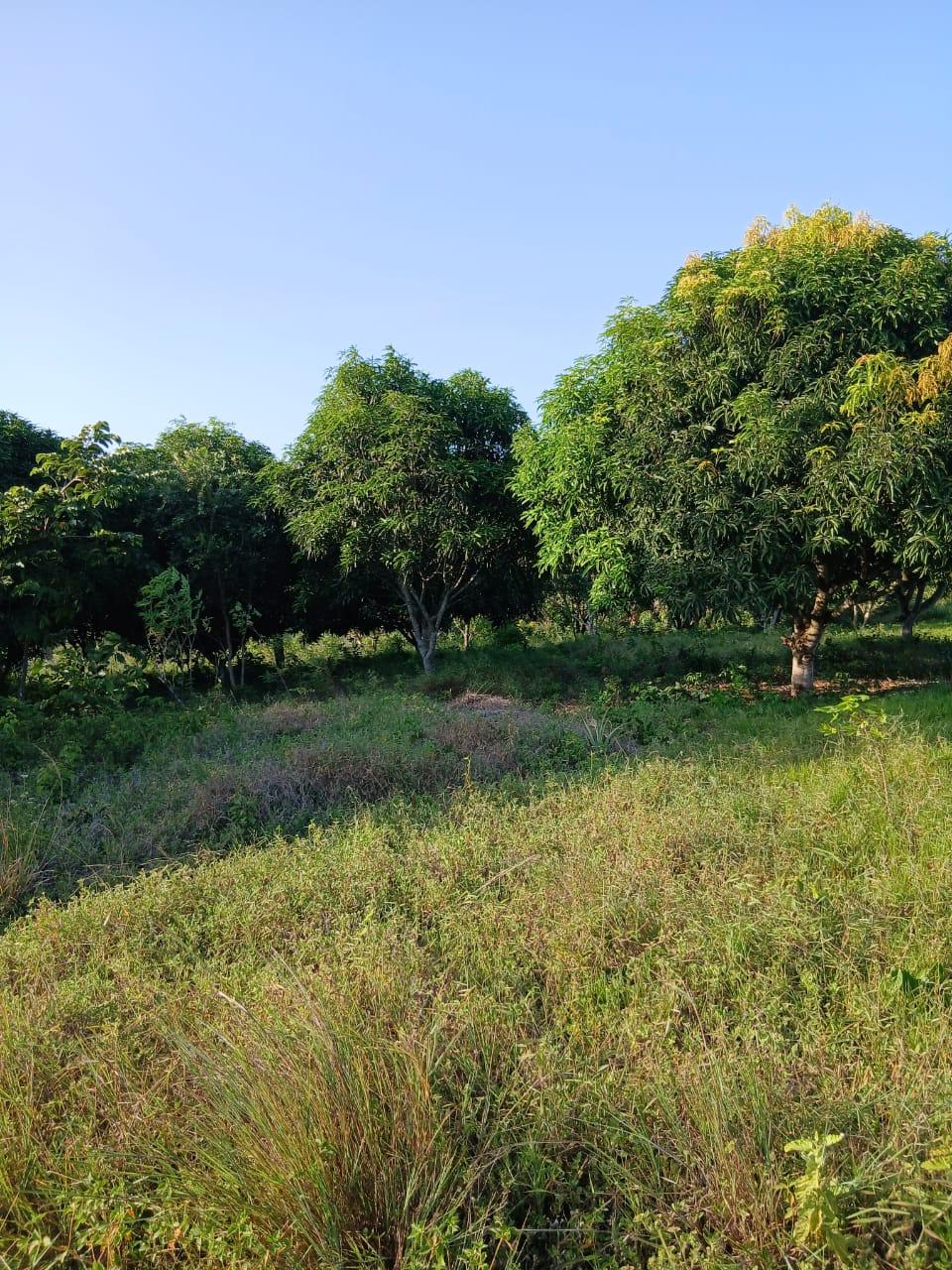 A Prime 70-Acre Plot for Sale at Mkuranga.