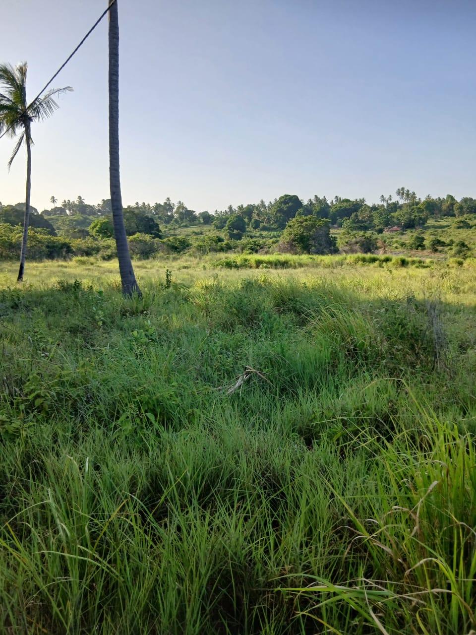 A Prime 70-Acre Plot for Sale at Mkuranga.