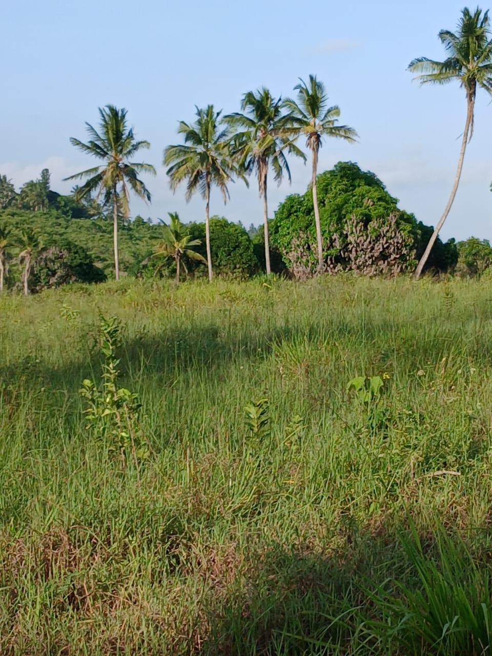A Prime 70-Acre Plot for Sale at Mkuranga.