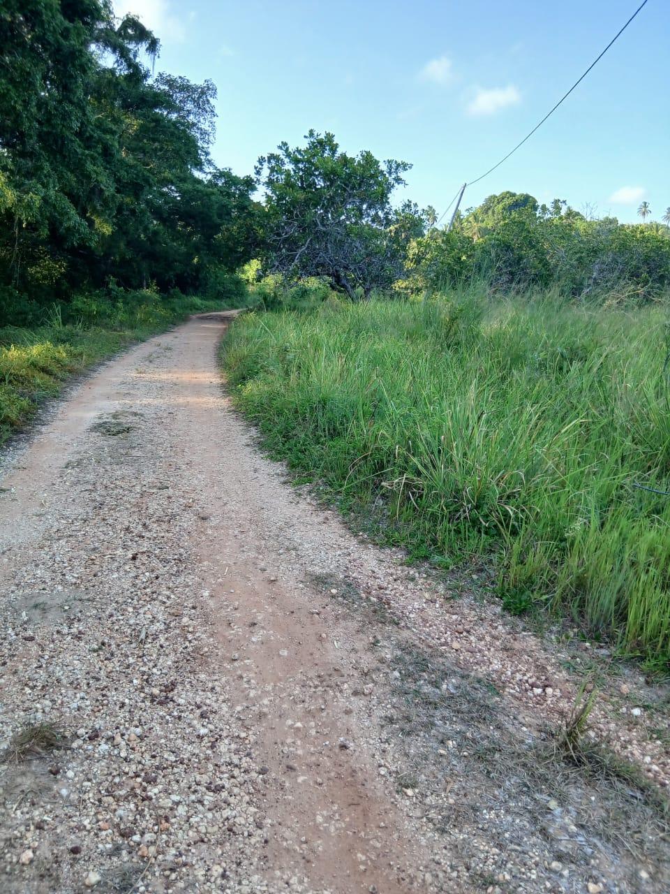 A Prime 70-Acre Plot for Sale at Mkuranga.