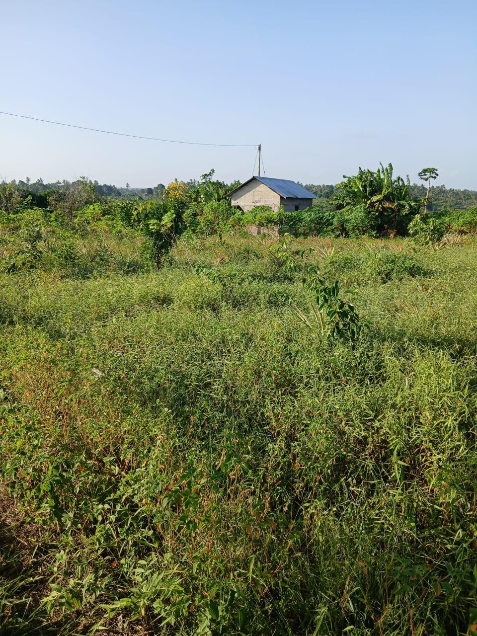 A Prime 70-Acre Plot for Sale at Mkuranga.
