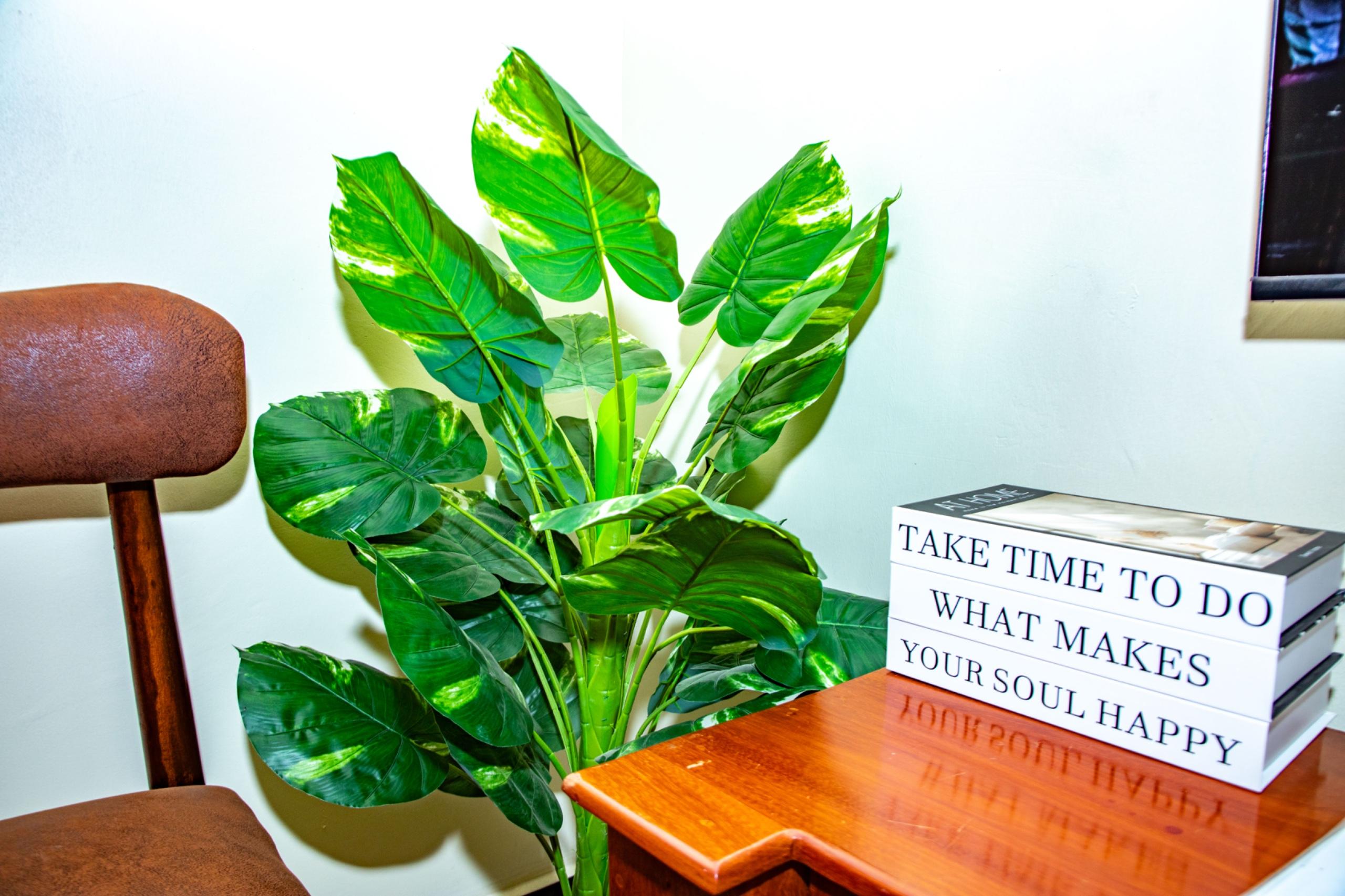 Vine Residences, Dodoma