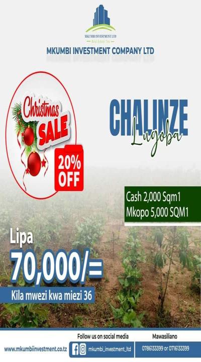 Mkumbi Investment Company Limited