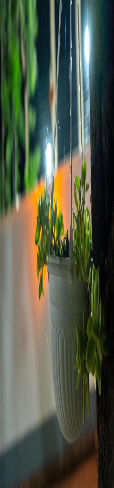 Eve Residence ~ Total Relaxation