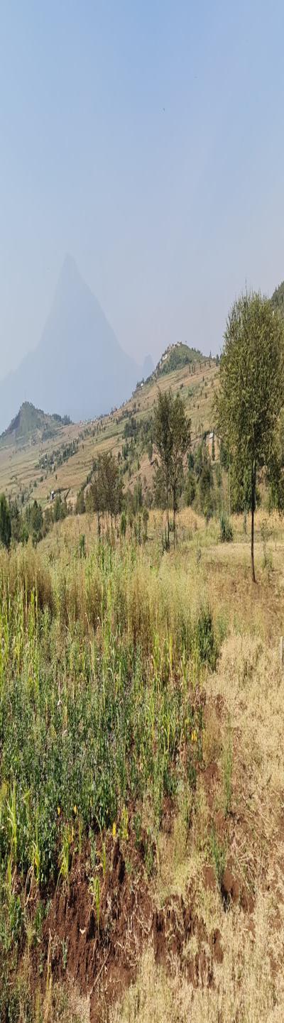 Gift Real Estate Enterprises: The Best Deal - A Prime Commercial Plot for Sale.