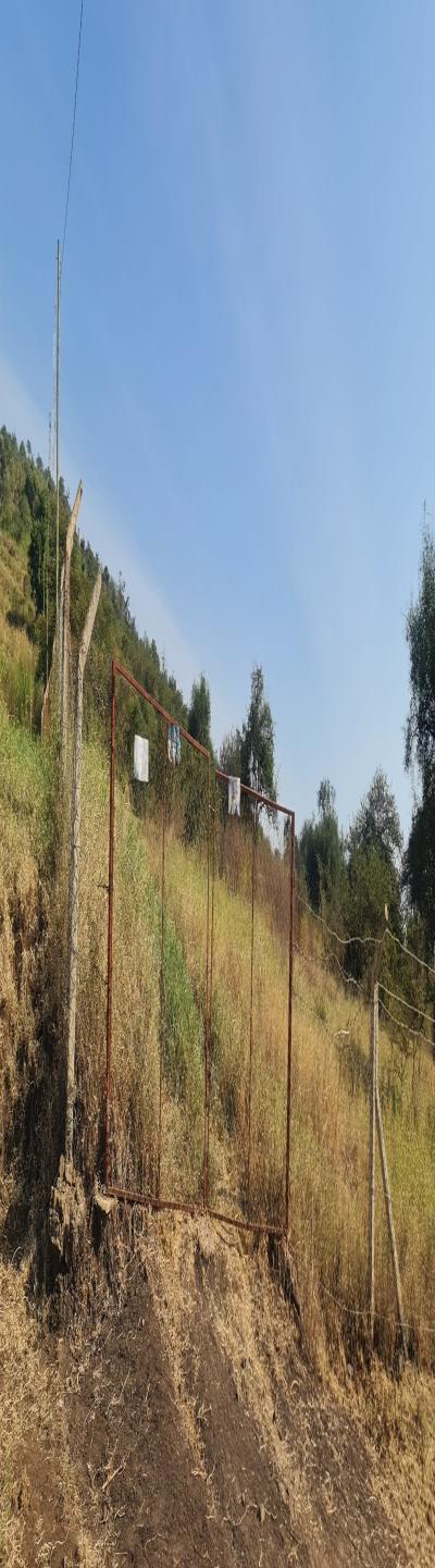 Gift Real Estate Enterprises: The Best Deal - A Prime Commercial Plot for Sale.