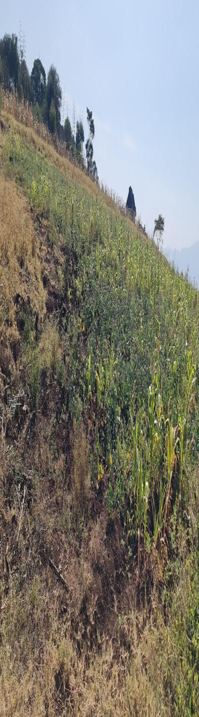 Gift Real Estate Enterprises: The Best Deal - A Prime Commercial Plot for Sale.