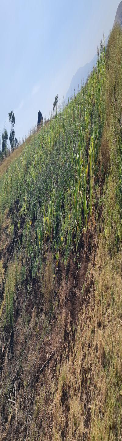 Gift Real Estate Enterprises: The Best Deal - A Prime Commercial Plot for Sale.