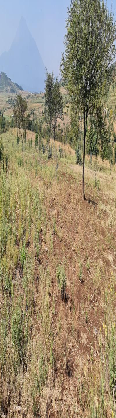 Gift Real Estate Enterprises: The Best Deal - A Prime Commercial Plot for Sale.