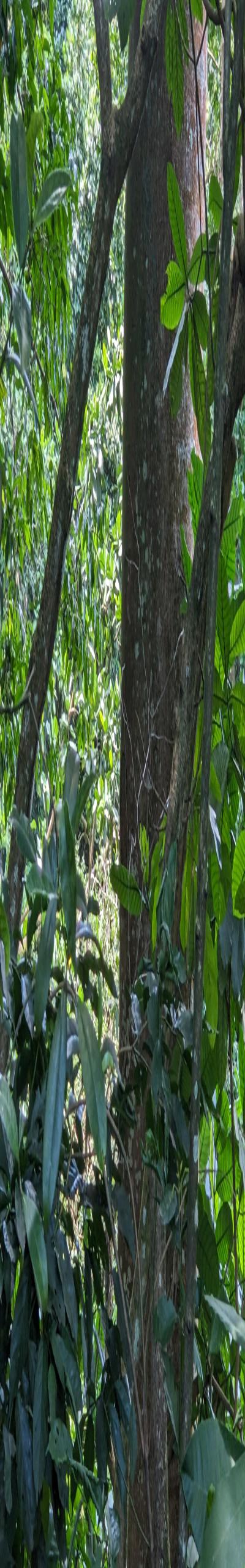 Intercity Property Hub: A 100-Acre Farm for Sale.