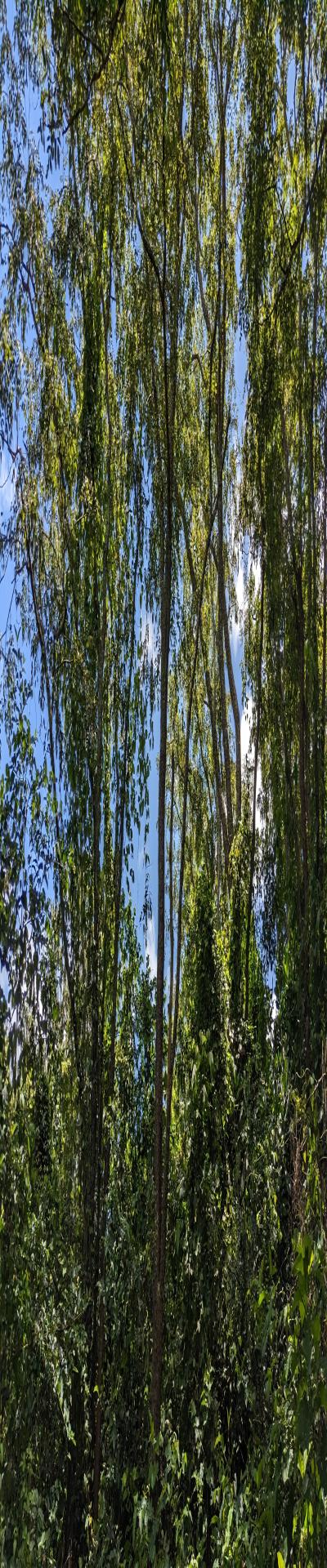 Intercity Property Hub: A 100-Acre Farm for Sale.