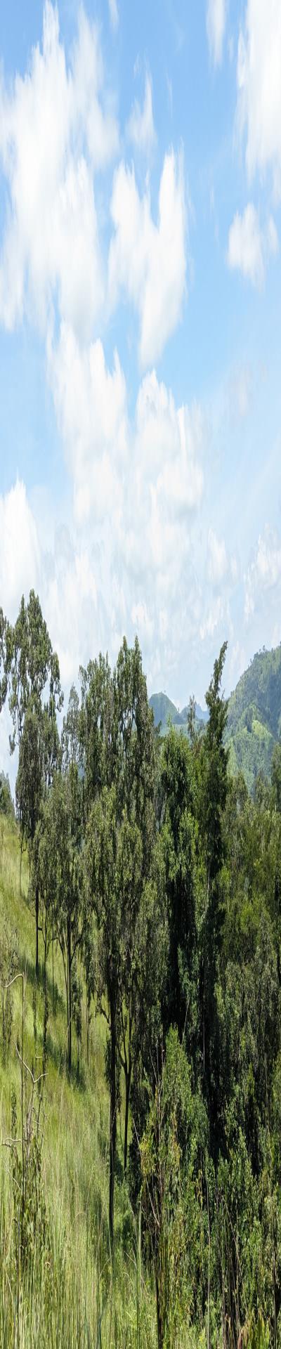 Intercity Property Hub: A 100-Acre Farm for Sale.