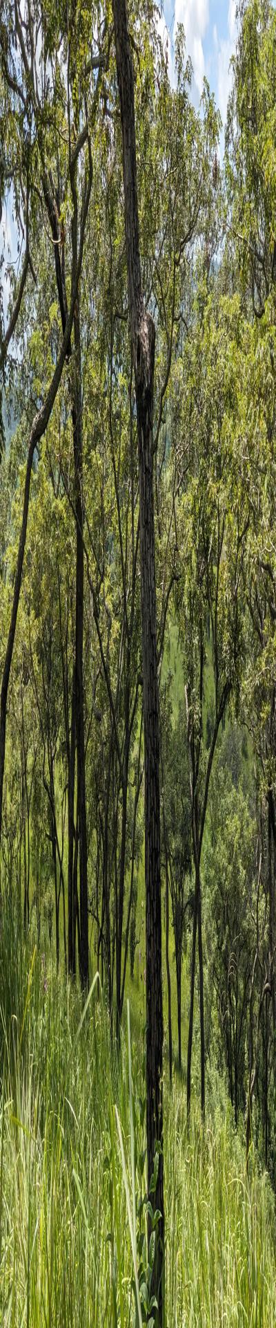 Intercity Property Hub: A 100-Acre Farm for Sale.