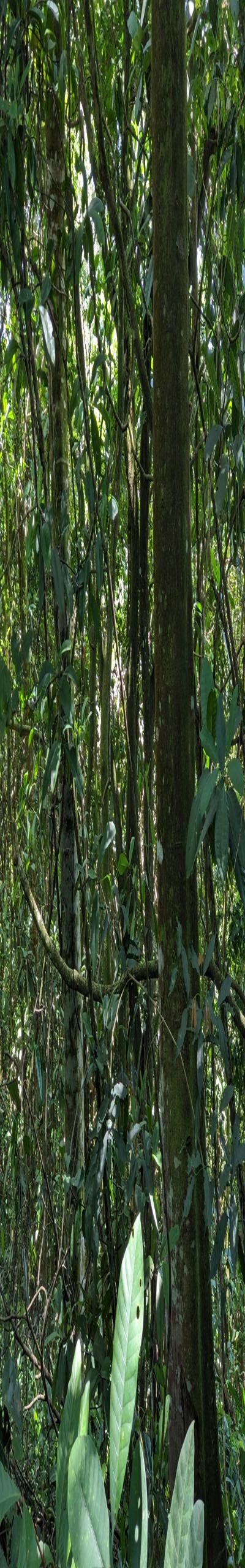 Intercity Property Hub: A 100-Acre Farm for Sale.