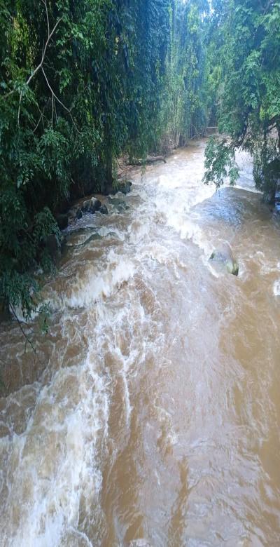 Intercity Property Hub (Verified Agent): A 10,000-Acre Farm for Sale.