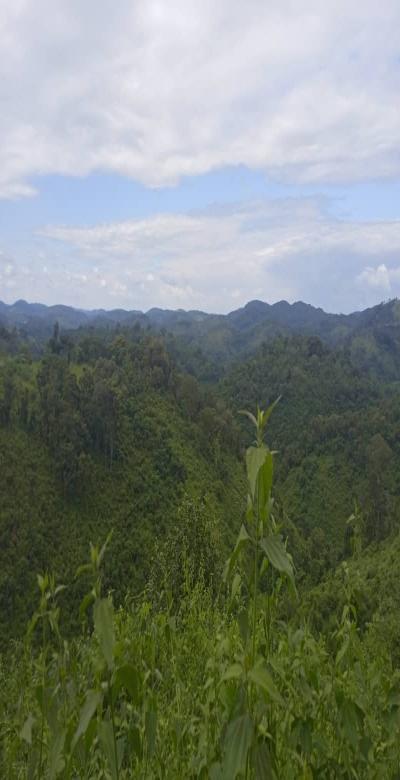 Intercity Property Hub (Verified Agent): A 10,000-Acre Farm for Sale.