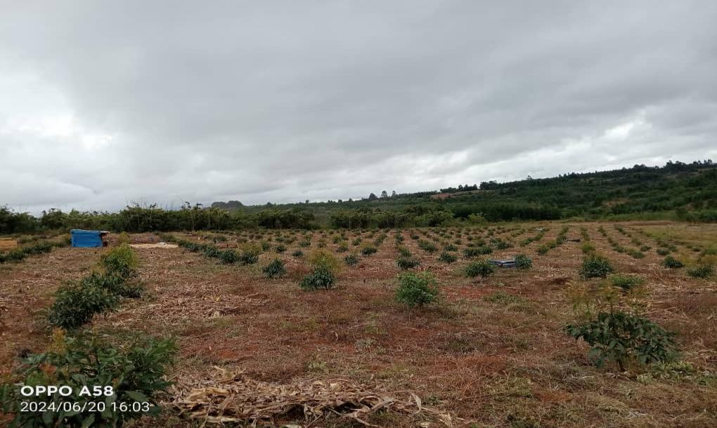 Intercity Property Hub-3