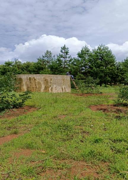 IPH: A 33-Acre Avocado Farm For Sale.-2