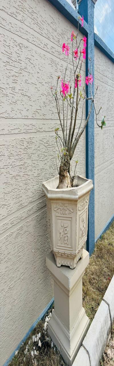 SOFCO: Elegant Concrete Flowerpots for Sale.