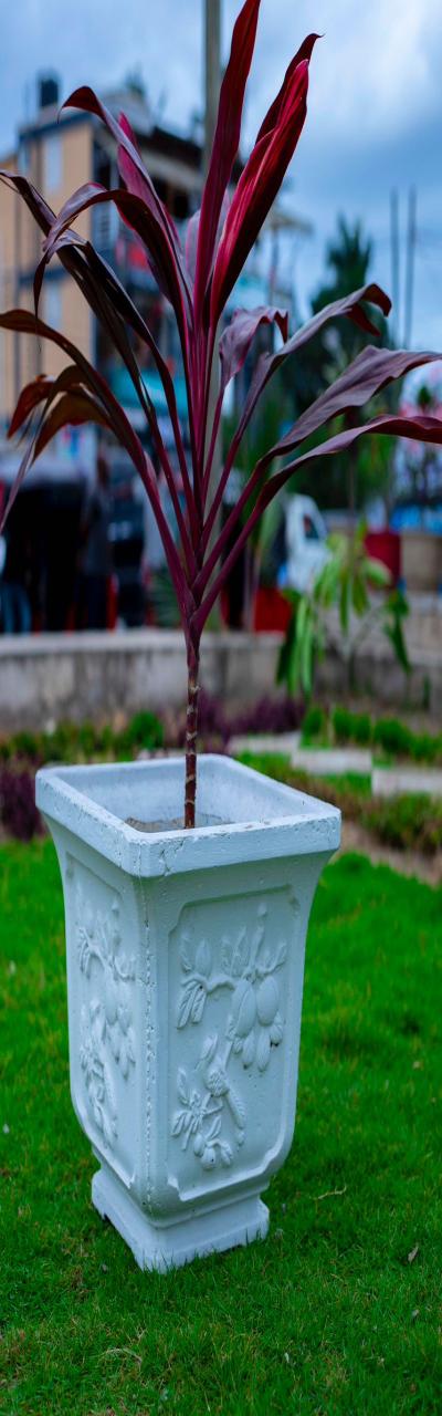 SOFCO: Elegant Concrete Flowerpots for Sale.