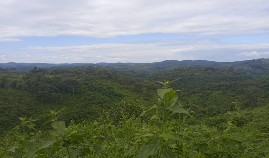 IPH: A 50,000 - Acre Farm for Sale - Songea.-1