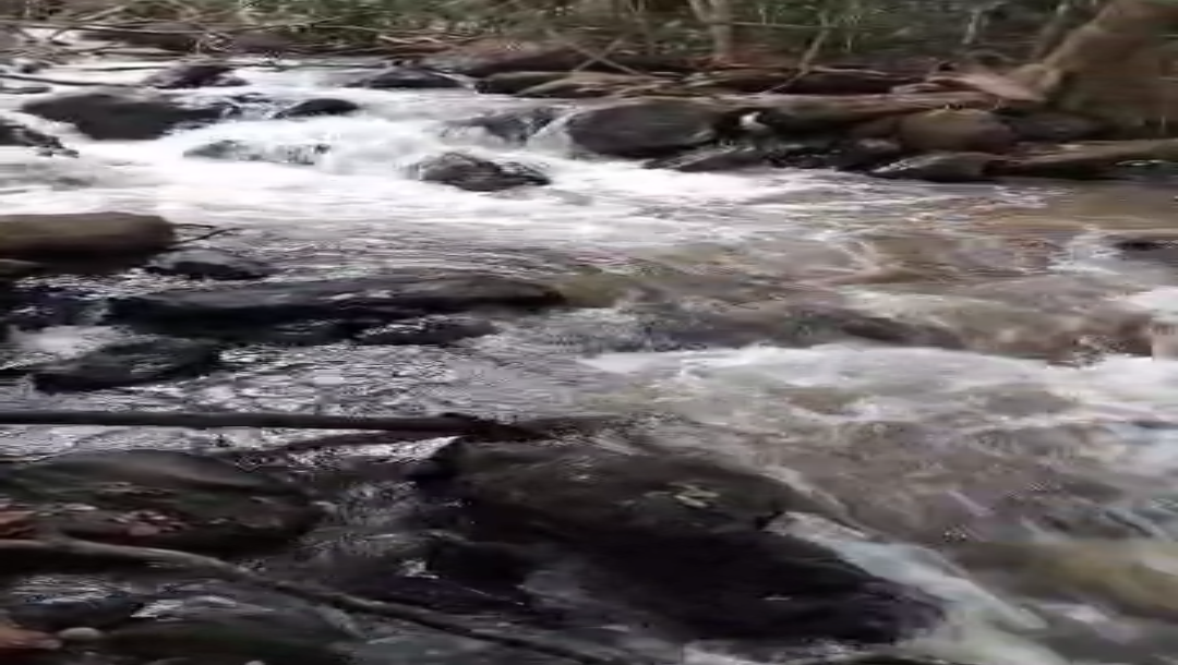 IPH: A 50,000 - Acre Farm for Sale - Songea.-0