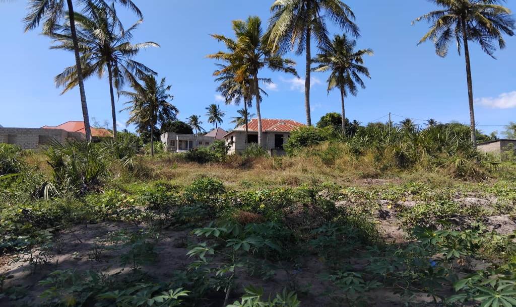 Intercity Property Hub: A Plot for Sale ~ Kisarawe 2, Kigamboni.-2