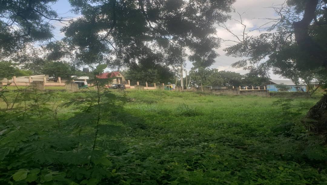 Intercity Property Hub: A Plot for Rent ~ Makongo Juu.-10