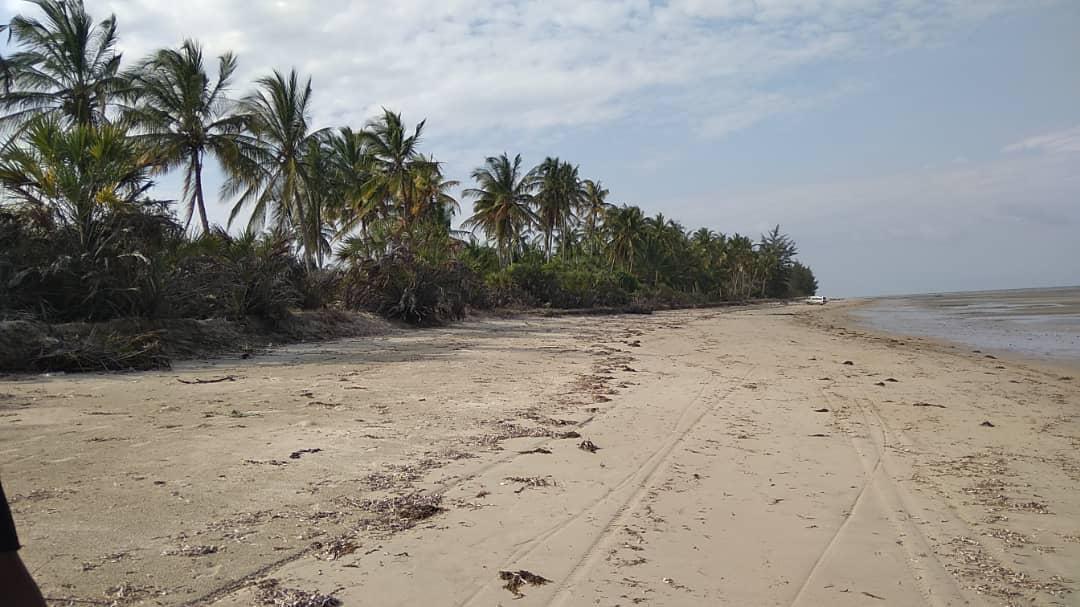 IPH: A-40-acre Farm for Sale, Pangani Tanga.