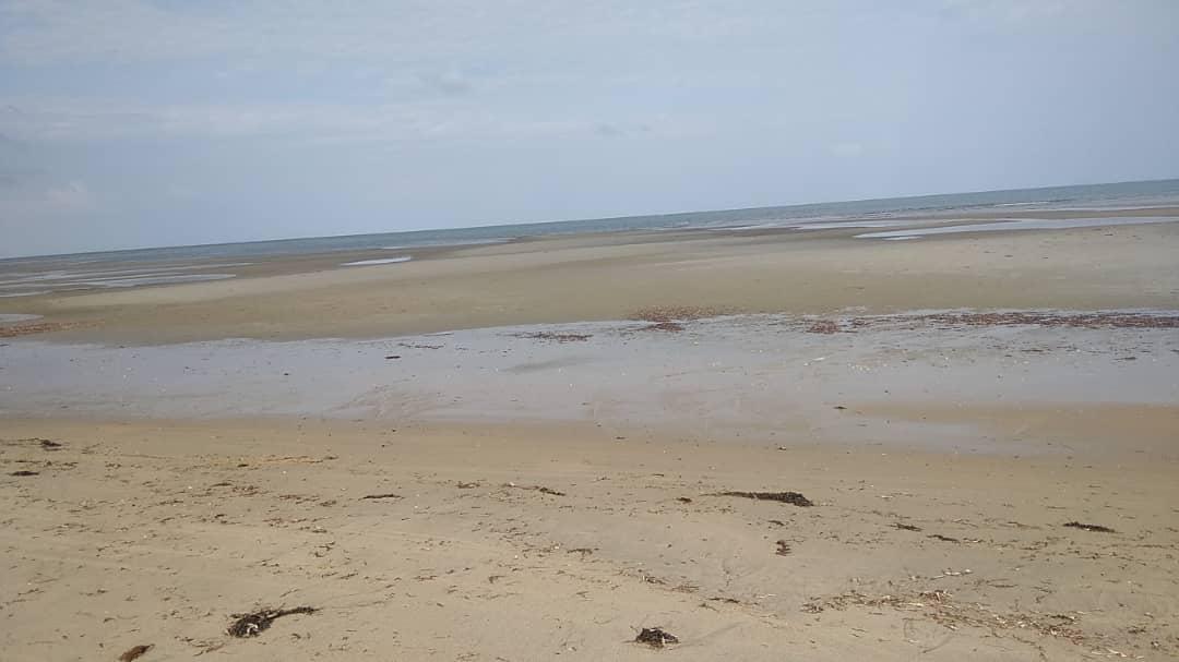 IPH: A-40-acre Farm for Sale, Pangani Tanga.