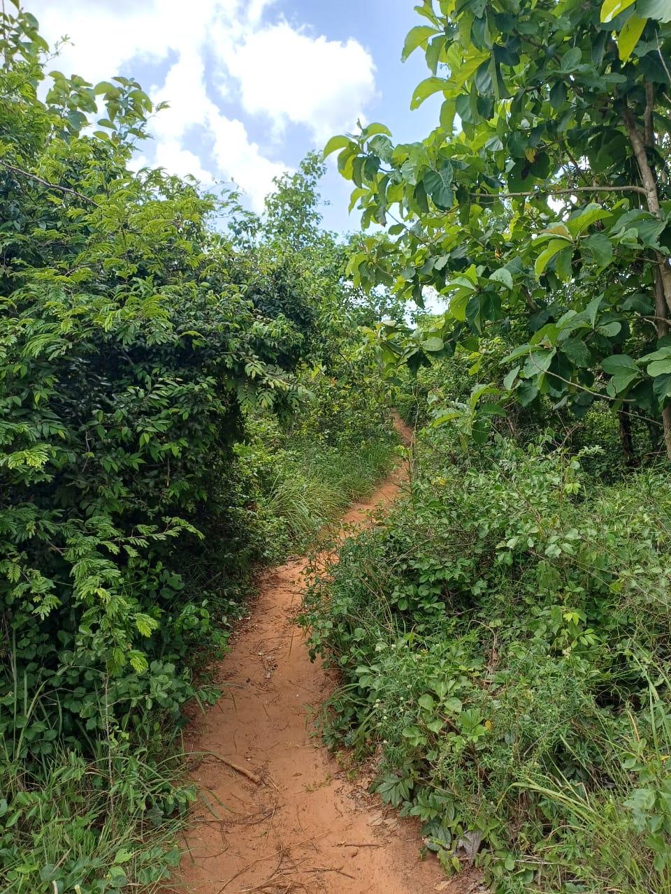 IPH: A 218 Acres Farm for Sale, Mtamba Village, Kisarawe DC ,Coastal Region.