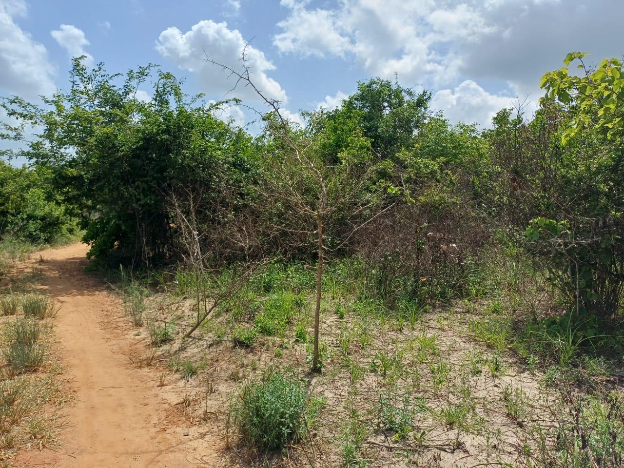 IPH: A 218 Acres Farm for Sale, Mtamba Village, Kisarawe DC ,Coastal Region.