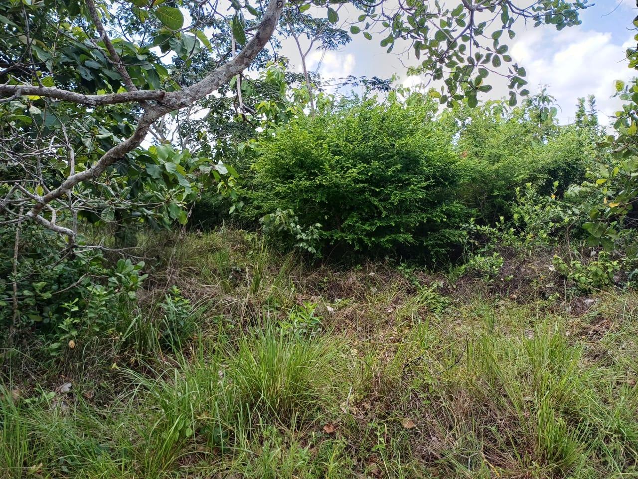 IPH: A 218 Acres Farm for Sale, Mtamba Village, Kisarawe DC ,Coastal Region.