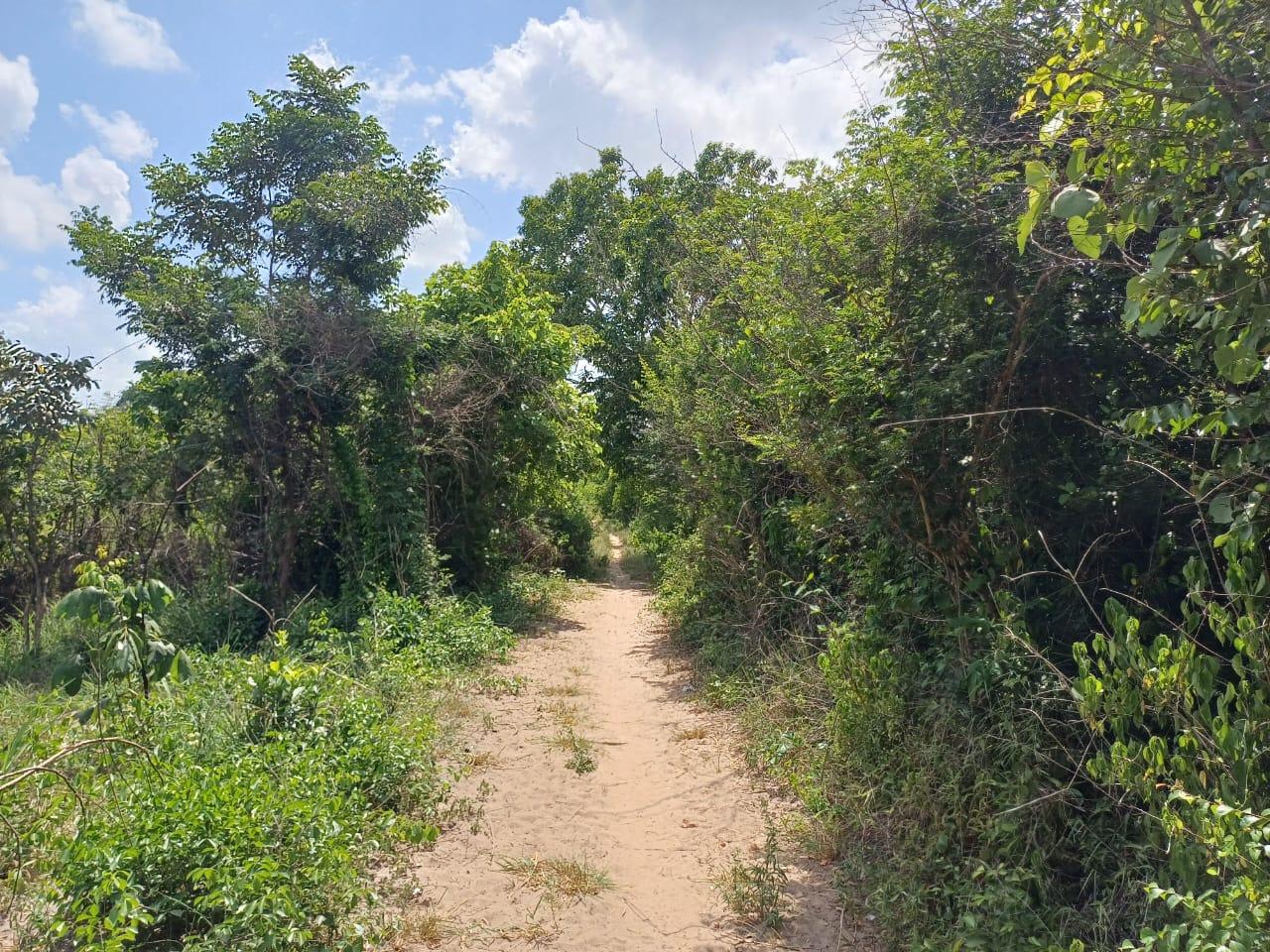 IPH: A 218 Acres Farm for Sale, Mtamba Village, Kisarawe DC ,Coastal Region.
