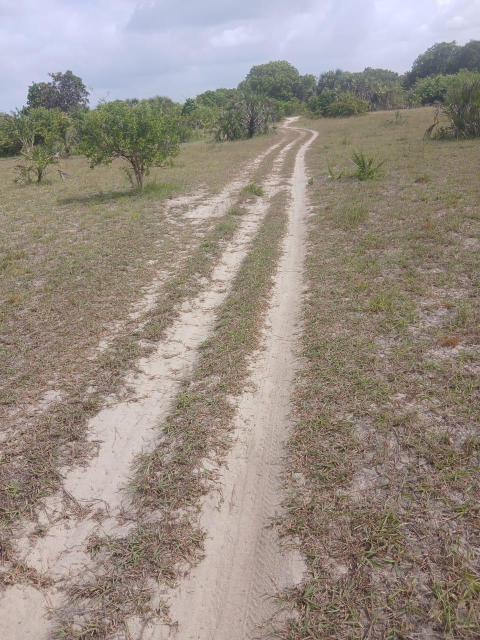 IPH: A 150 Acres Farm for Sale, Shungubweni. Mkuranga DC, Coastal Region.