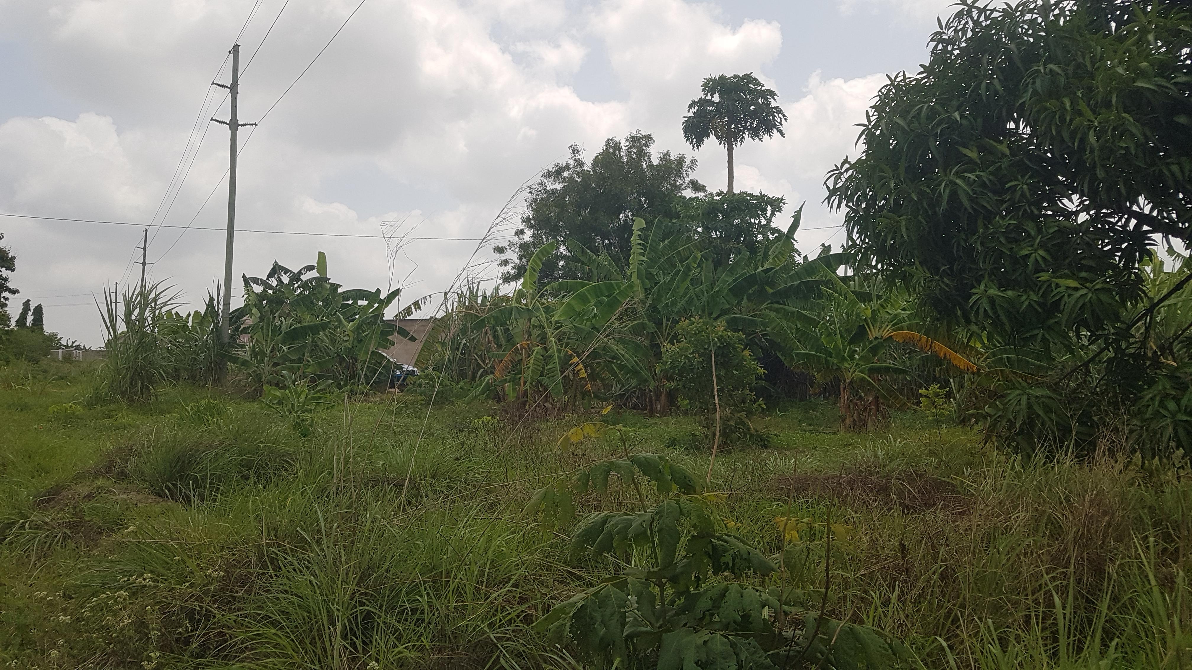 IPH: A Plot for Sale, Vikawe Kibaha, Pwani.