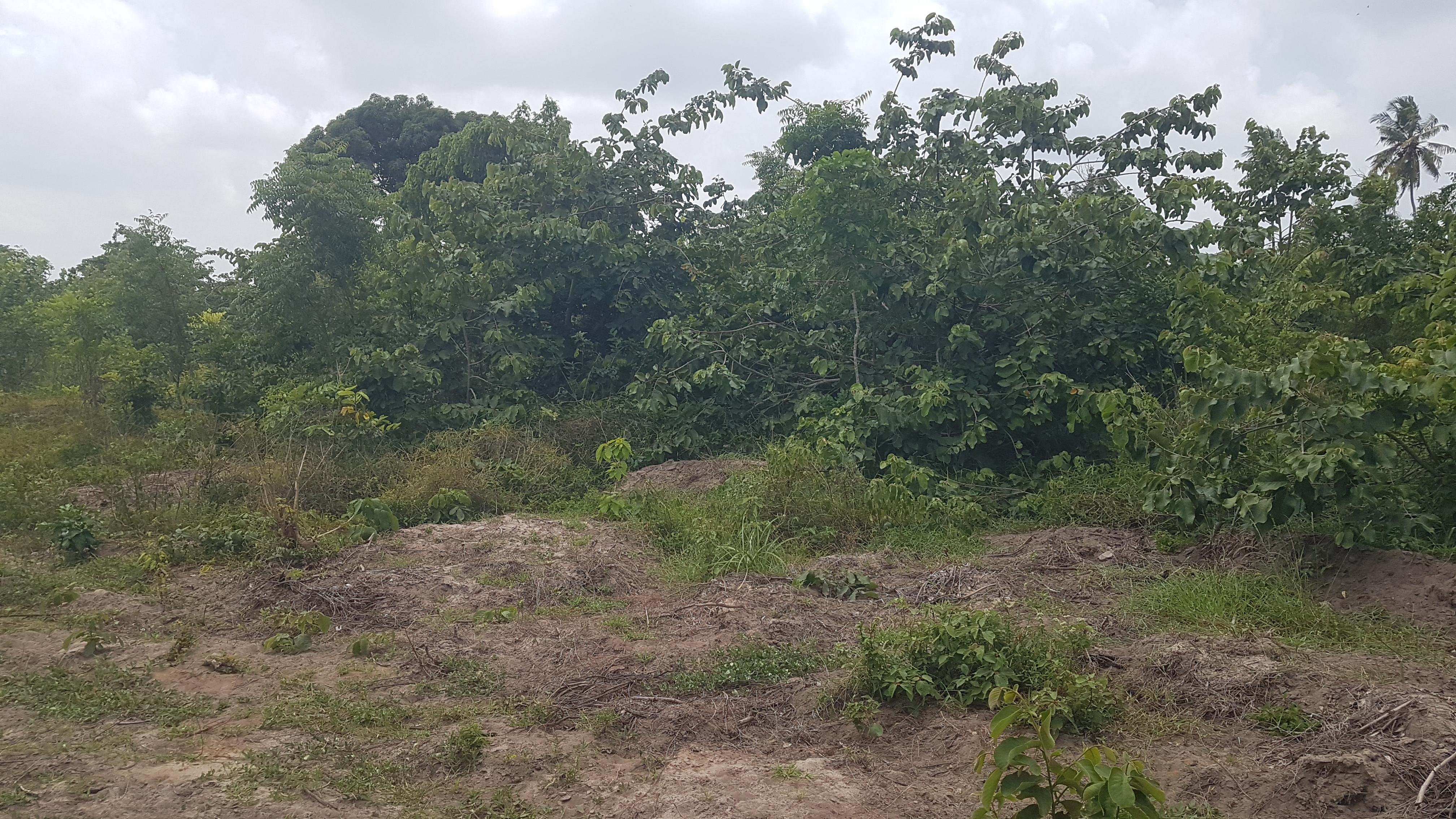 IPH: A Plot for Sale, Vikawe Kibaha, Pwani.