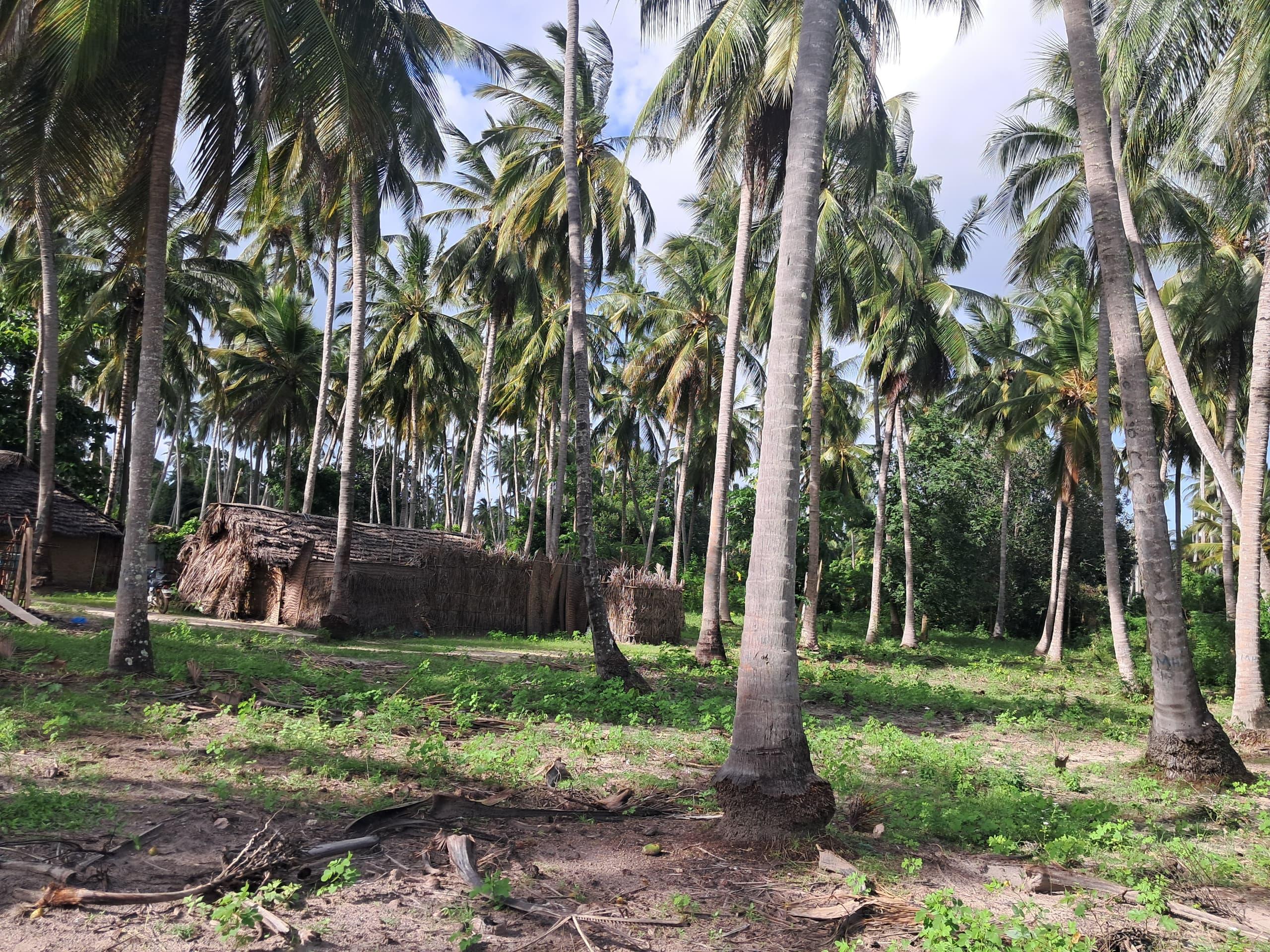 IPH, A 3 Acres Beach Front Plot for Sale, Bwewe Beach, Mafia Island, Coastal Region.