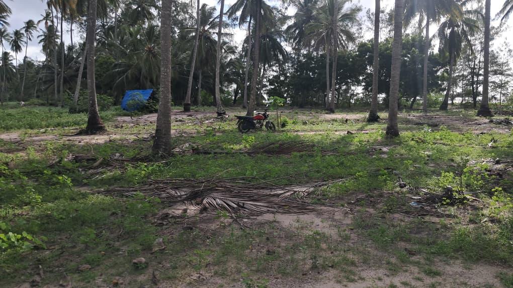 IPH, A 3 Acres Beach Front Plot for Sale, Bwewe Beach, Mafia Island, Coastal Region.