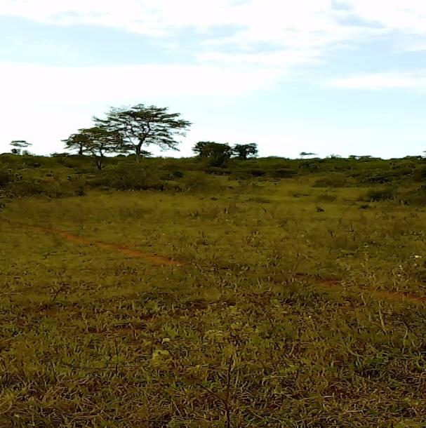 Intercity Property Hub; A 29-Acres for Sale, Pangani.-1