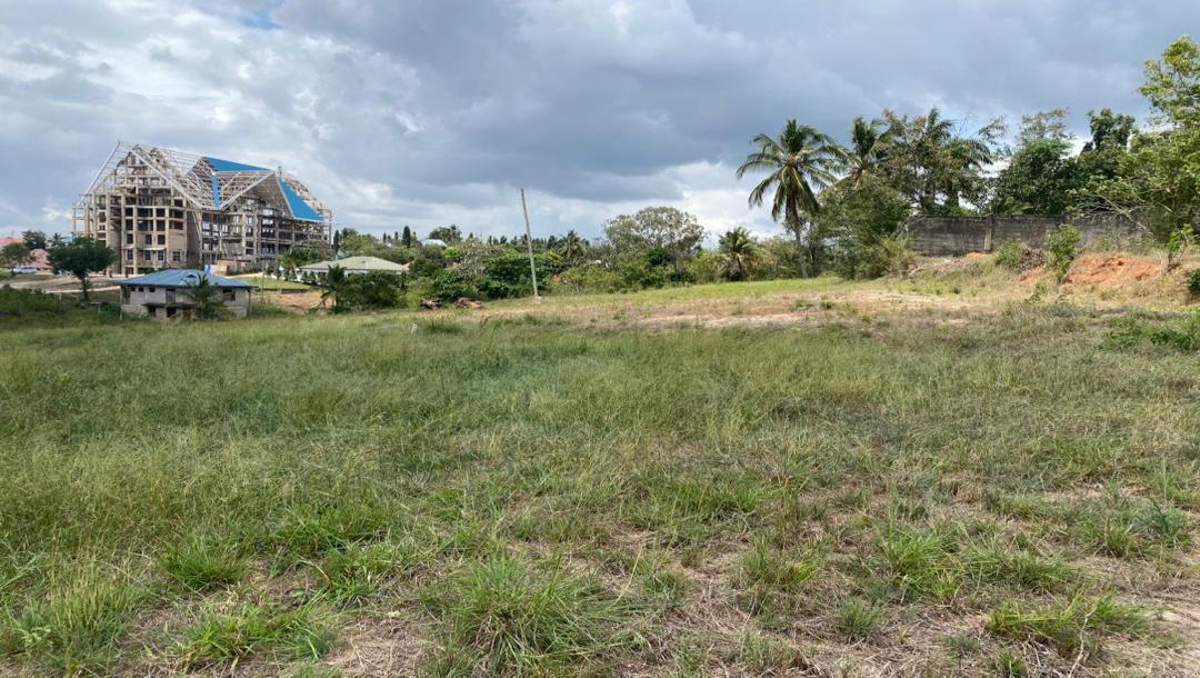 IPH: Strategic Plots for Sale - Kibamba CCM.-13