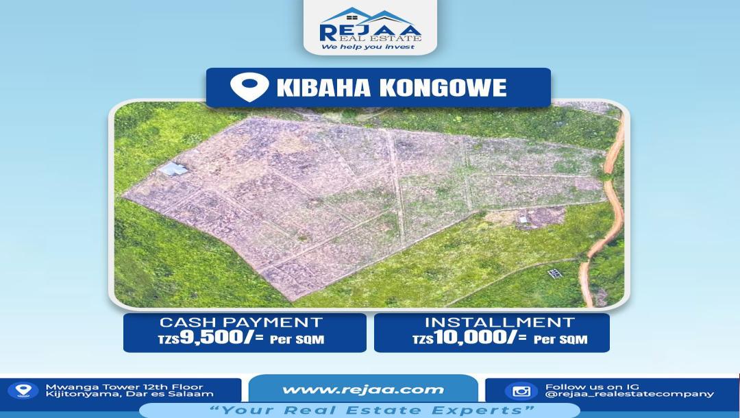 REJAA Real Estate: Viwanja  - Kigamboni, Kibaha, na Bagamoyo.-4