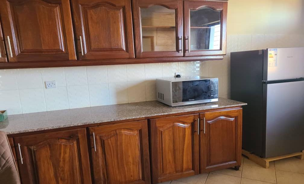 IPH: A Fully-Furnished Apartment for Rent - Upanga.-10