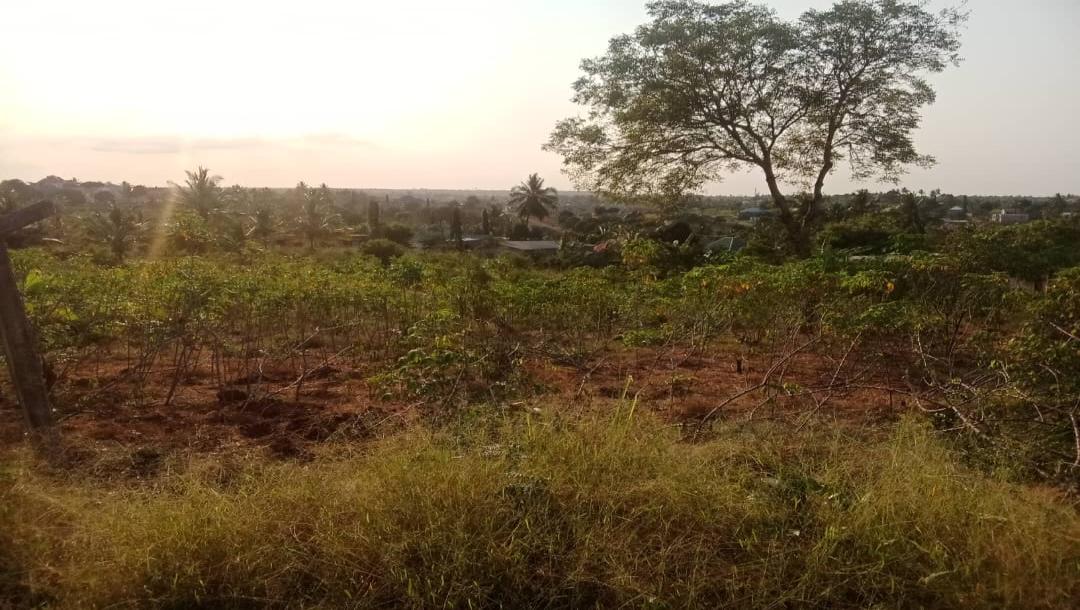 IPH: Prime Plots for Sale -Goba Kulangwa.-7