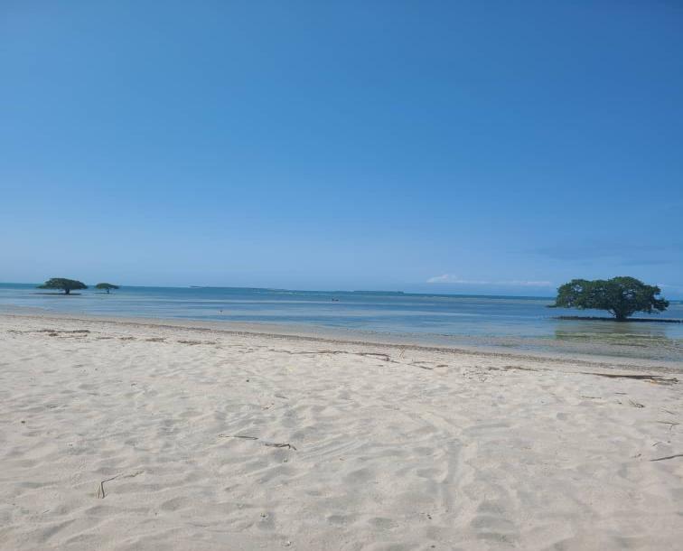 IPH: A Four-Acre Beach Plot for Sale, Gezaulole, Dar Es Salaam.-1