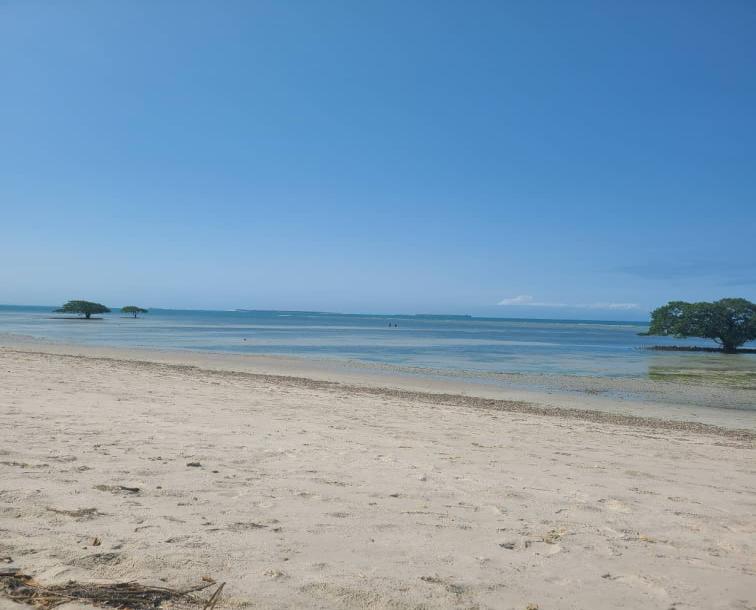 IPH: A Four-Acre Beach Plot for Sale, Gezaulole, Dar Es Salaam.-2