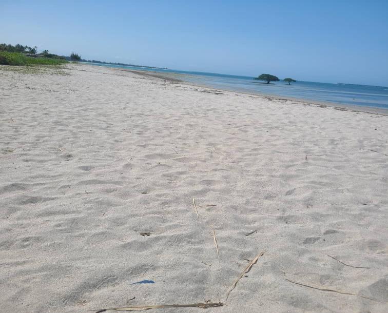 IPH: A Four-Acre Beach Plot for Sale, Gezaulole, Dar Es Salaam.-3