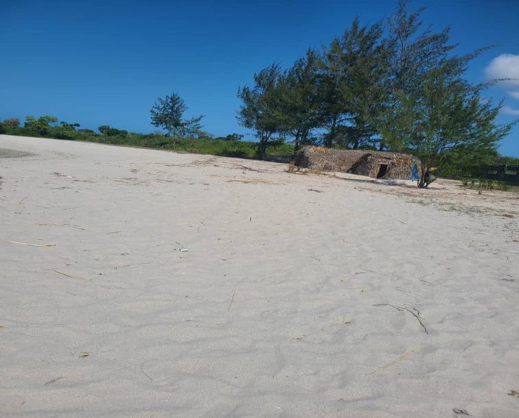 IPH: A Four-Acre Beach Plot for Sale, Gezaulole, Dar Es Salaam.-5