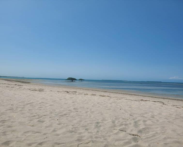 IPH: A Four-Acre Beach Plot for Sale, Gezaulole, Dar Es Salaam.-6